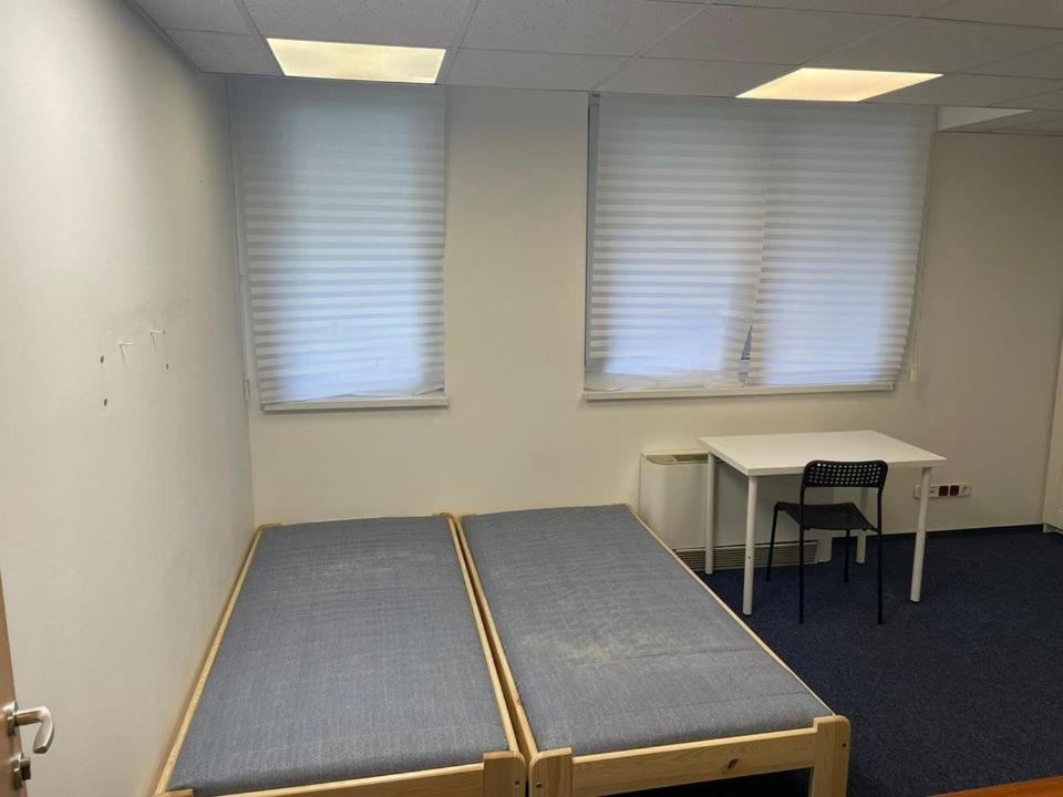 Viola Hostel Budapeşte Dış mekan fotoğraf