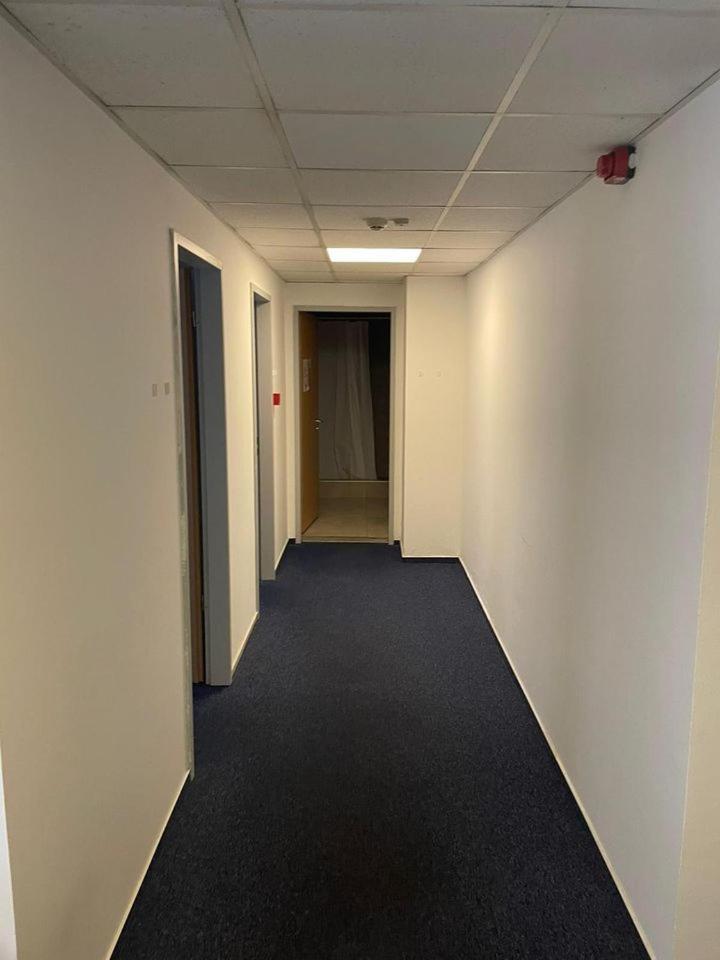 Viola Hostel Budapeşte Dış mekan fotoğraf